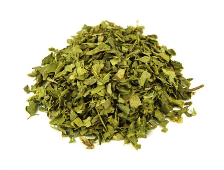 oregano01