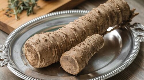 burdock root - curlytea.com